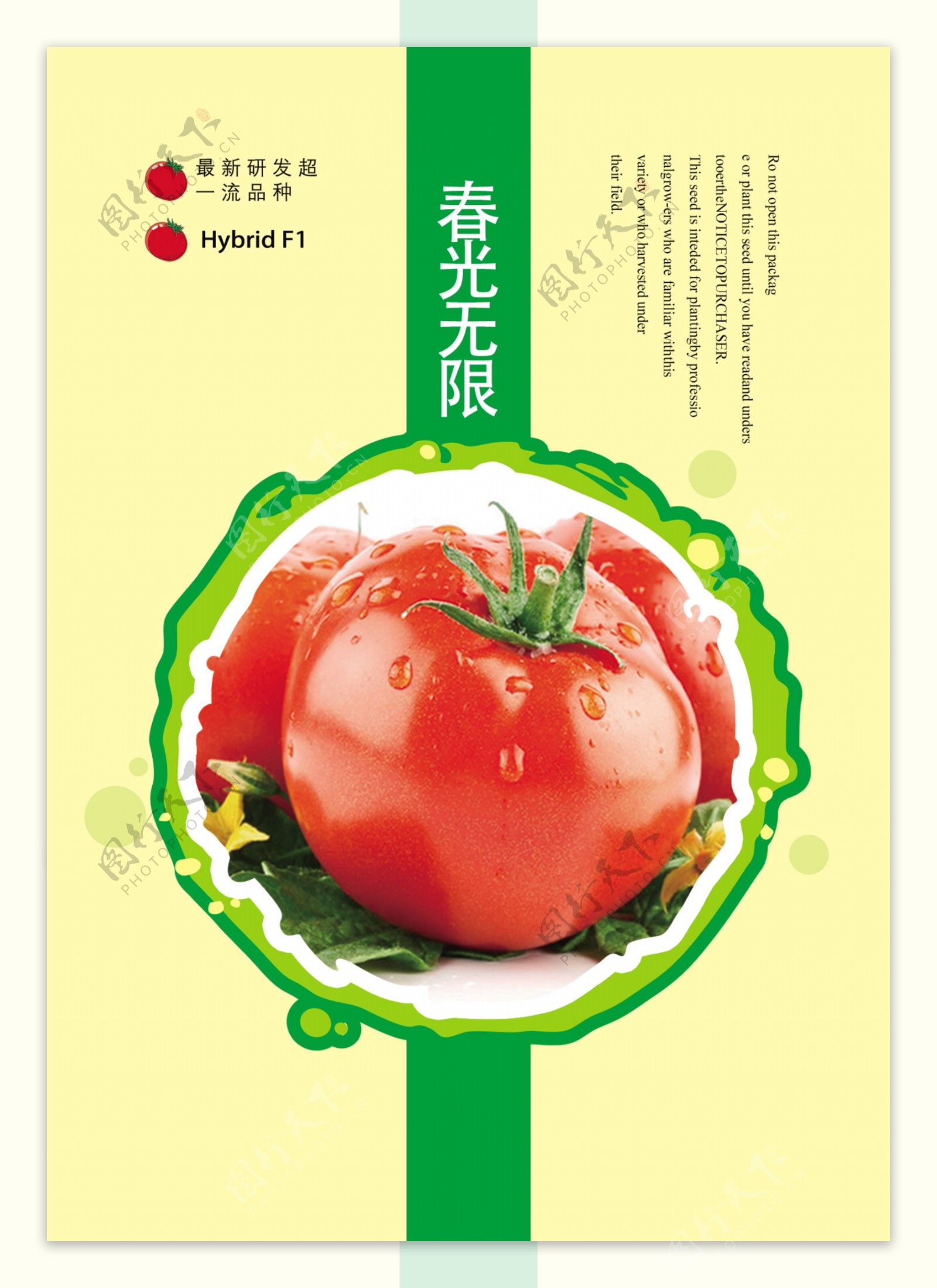 番茄包装图片