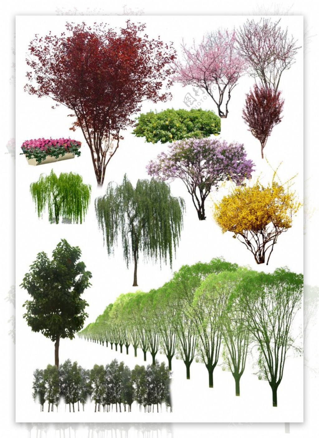 PSD时尚园林设计绿色植物素材