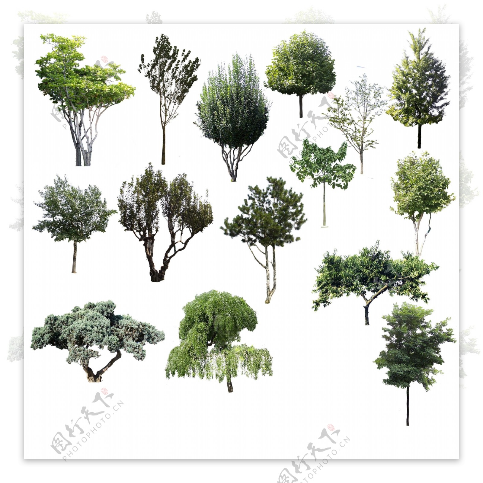 3D室外效果图环境素材绿植树木灌木