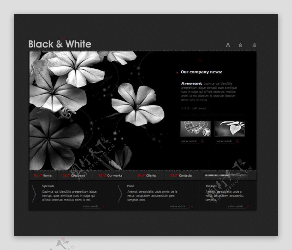 黑白花瓣flash网站模板