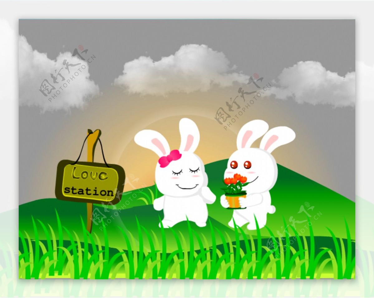 宁静甜美的小白兔坐在绿草上 可爱的兔子 — 图库照片©RolandBarat＃203422544