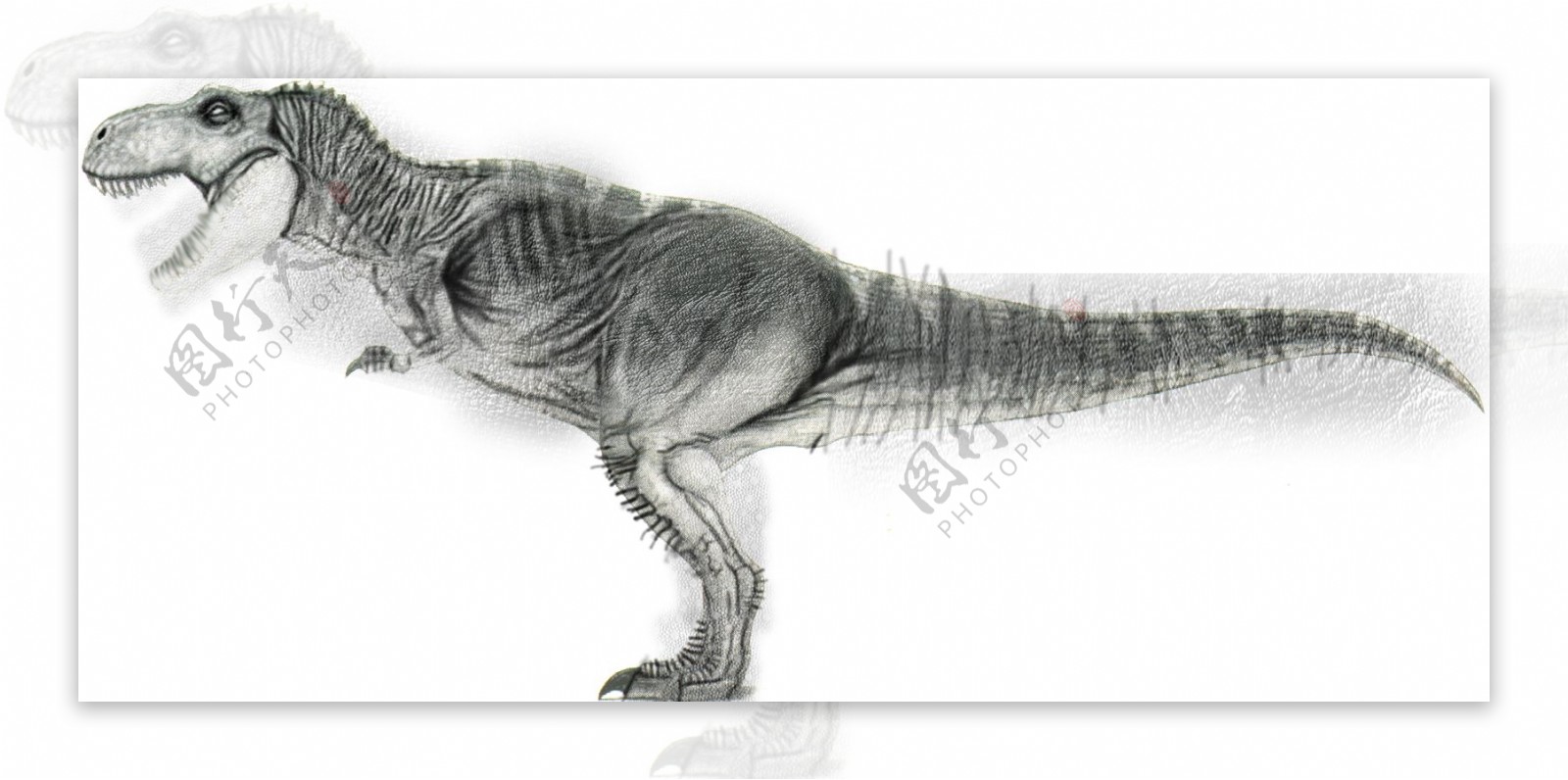 动物恐龙爬行类3d模型素材免费下载3d模型免费下载14