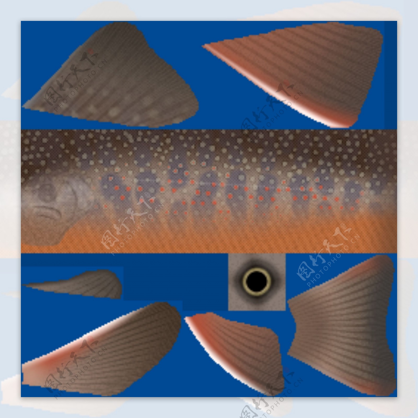 动物鱼类3d模型动植物模型免费下载动物3d模型56