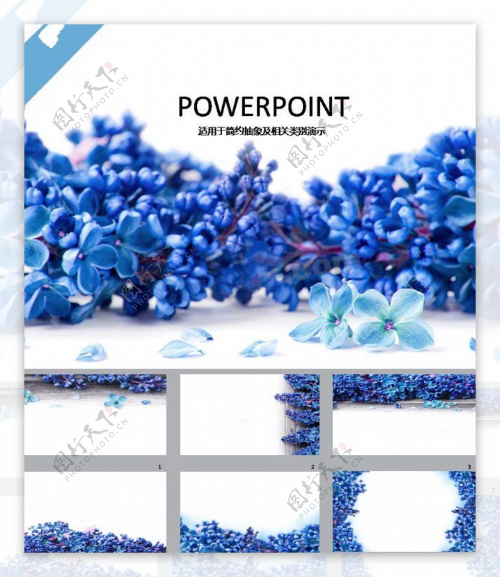 蓝色花朵PPT