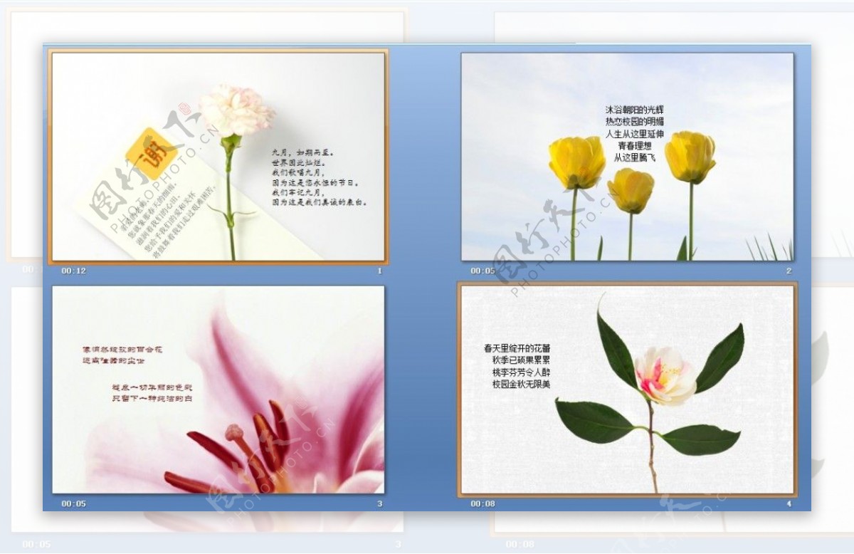 花卉幻灯片背景图片