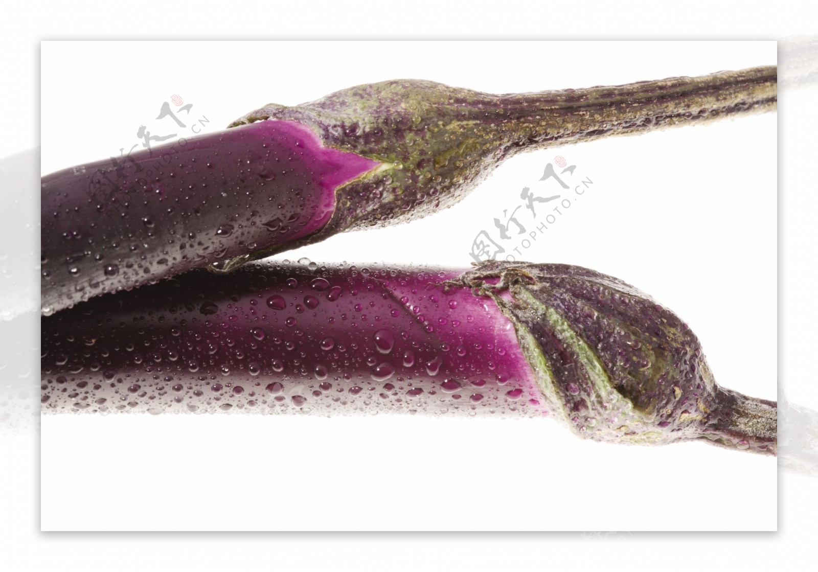 茄子紫茄子图片