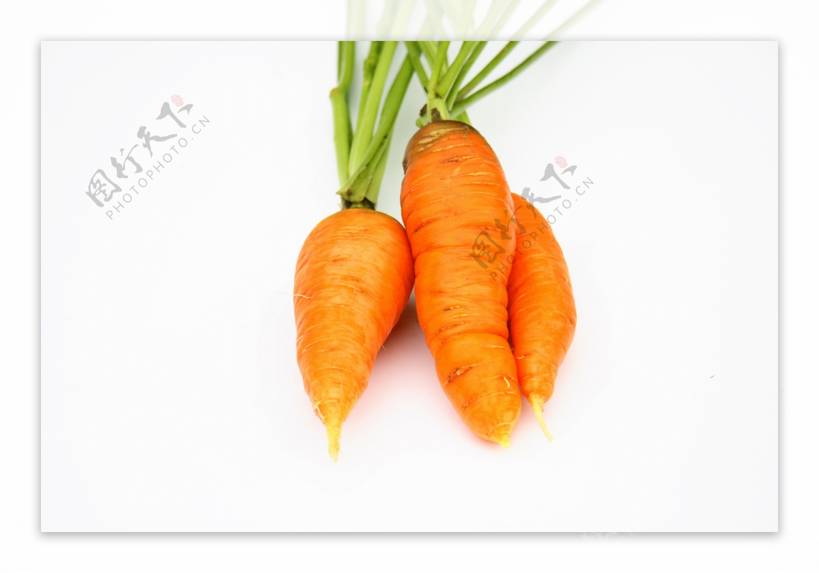胡萝卜高清摄影图片