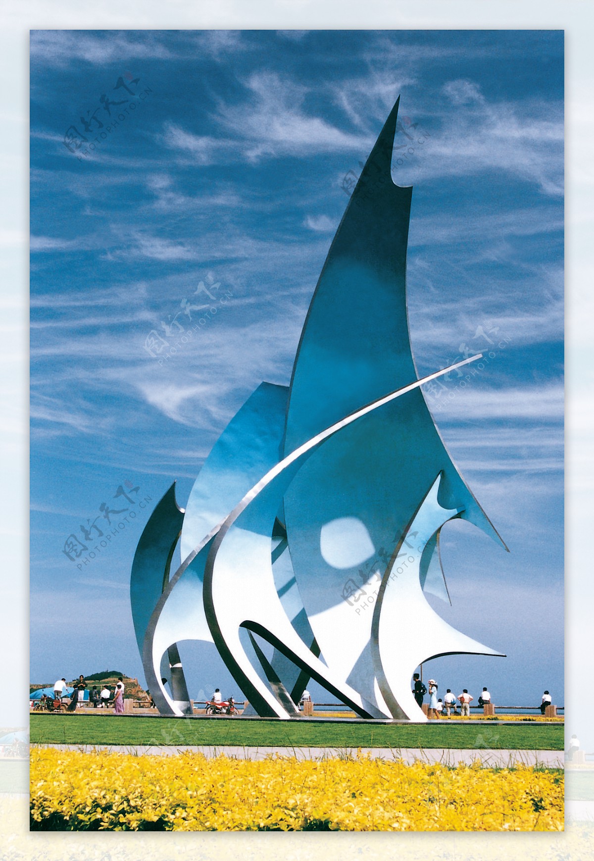 青岛帆标志图片