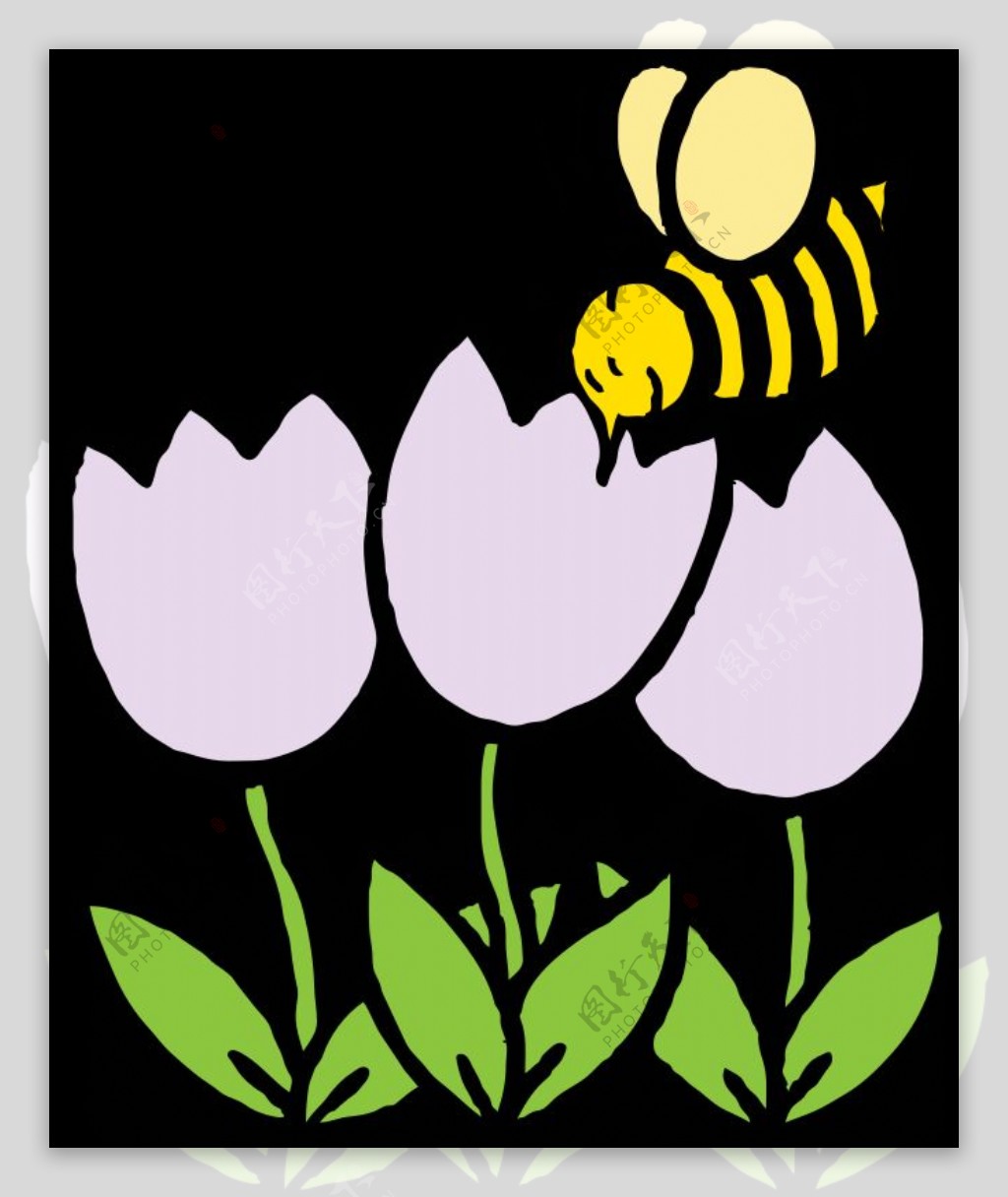 蜜蜂和花