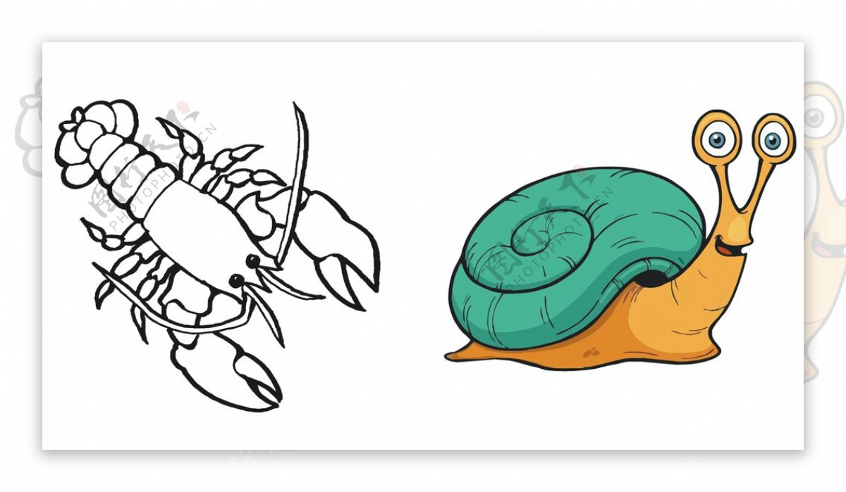 蜗牛龙虾图片