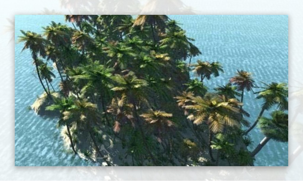 热带岛屿Palmtreeislandtropics