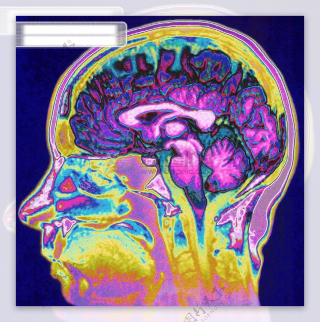 医学透视人体骨骼探索研究全方位平面设计素材辞典