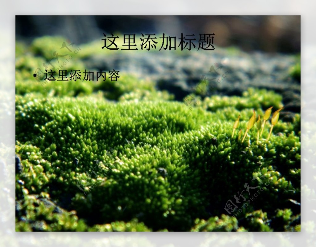 应怜屐齿印苍苔绿色护眼PPT15