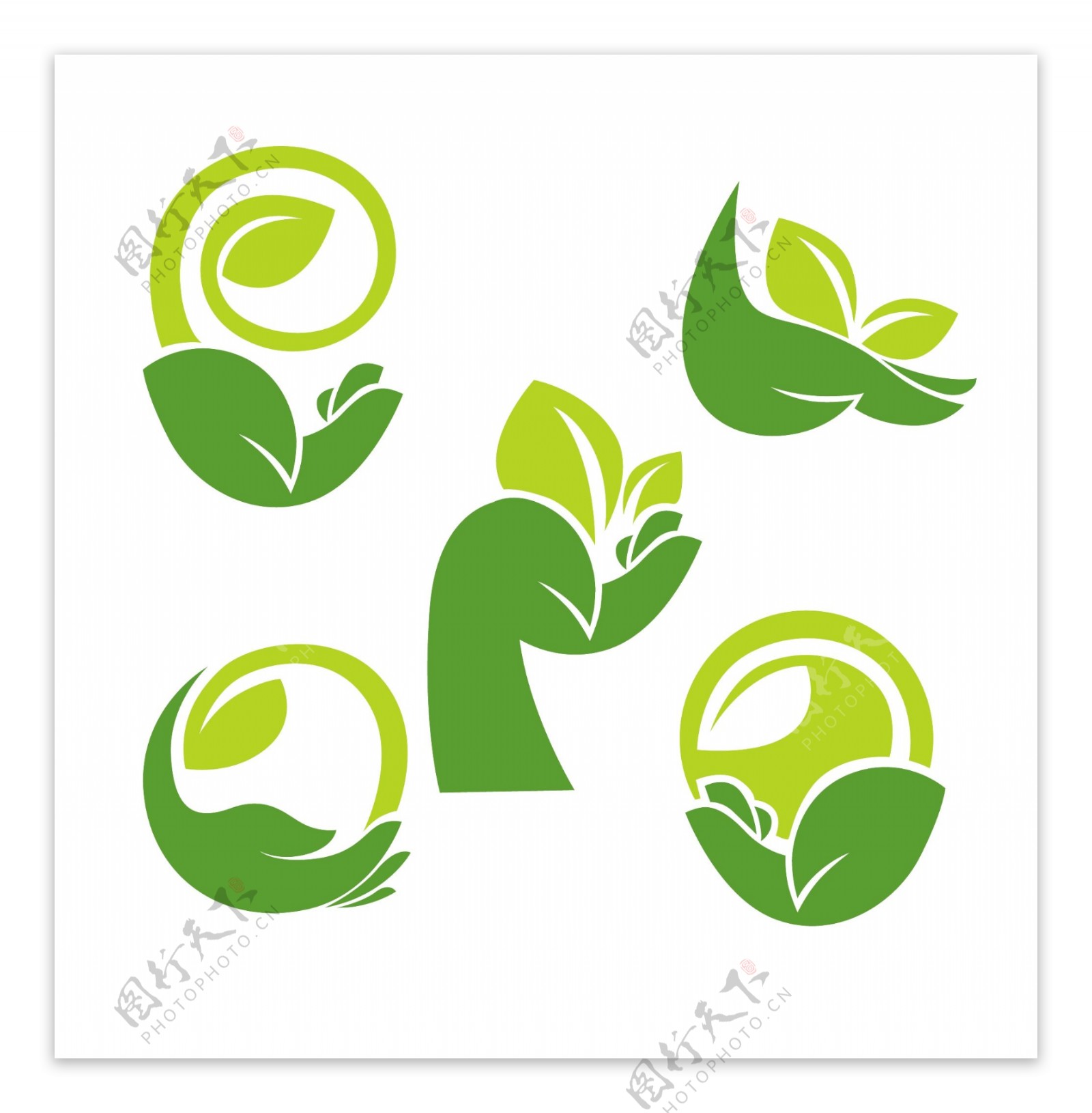 绿叶手势logo图片