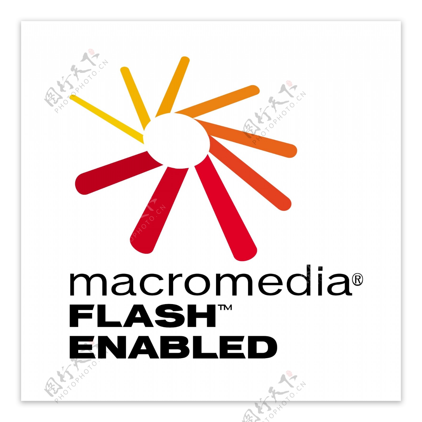 macromediaflash标志图片