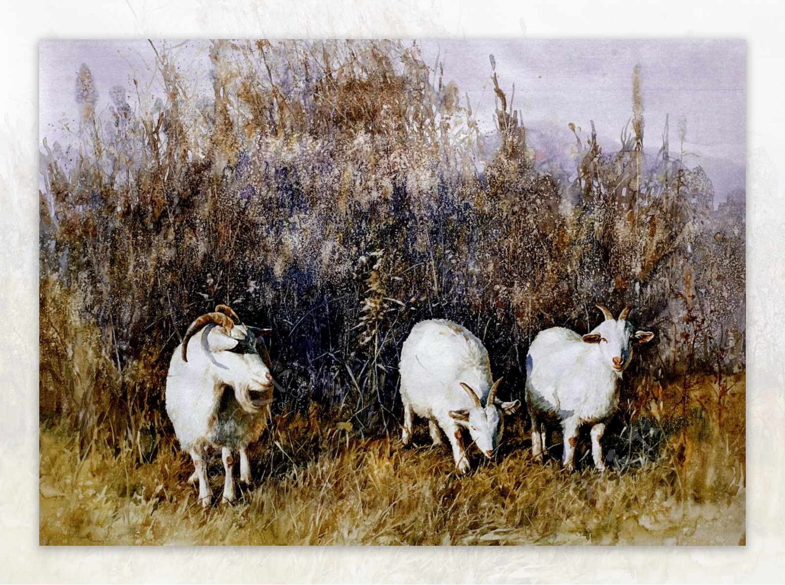三羊开泰图片
