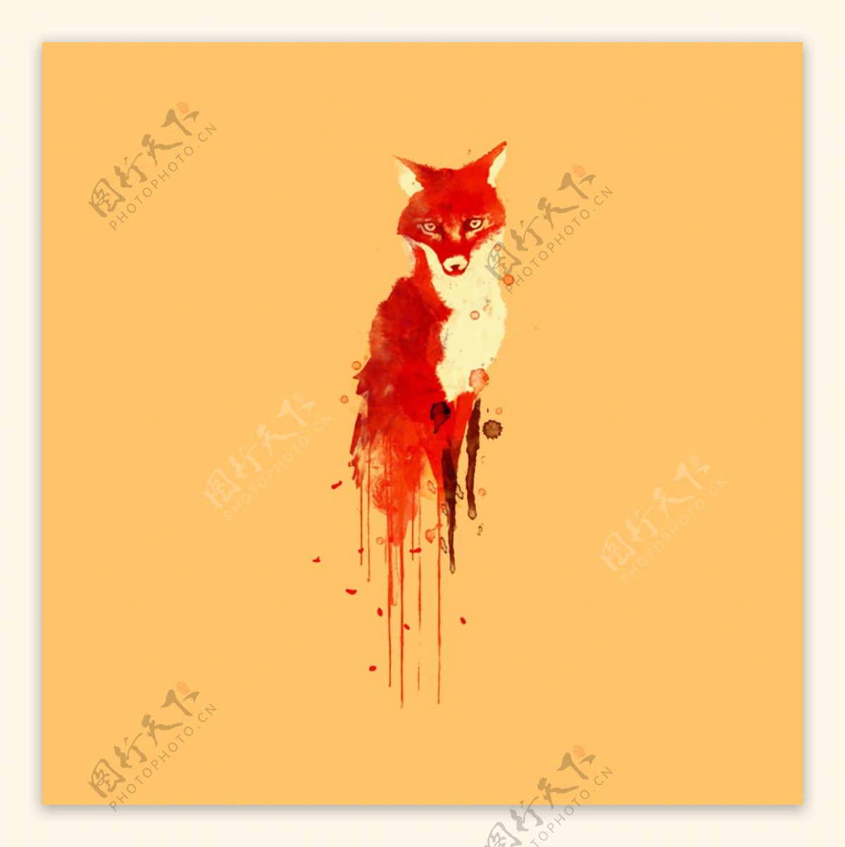 位图动物狐狸色彩红色免费素材