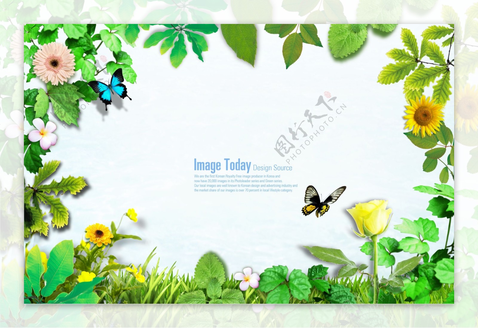绿色植物花朵和蝴蝶背景素材