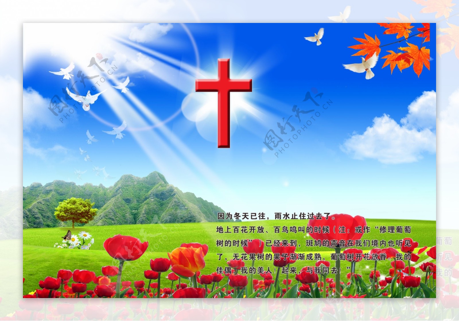 紅色十字架PSD圖案素材免費下載 - 尺寸1915 × 2688px - 圖形ID400743877 - Lovepik
