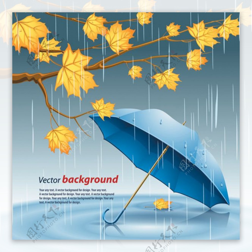 矢量雨伞和枫叶图片设计