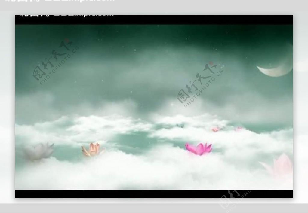 云雾月亮花朵视频素材图片