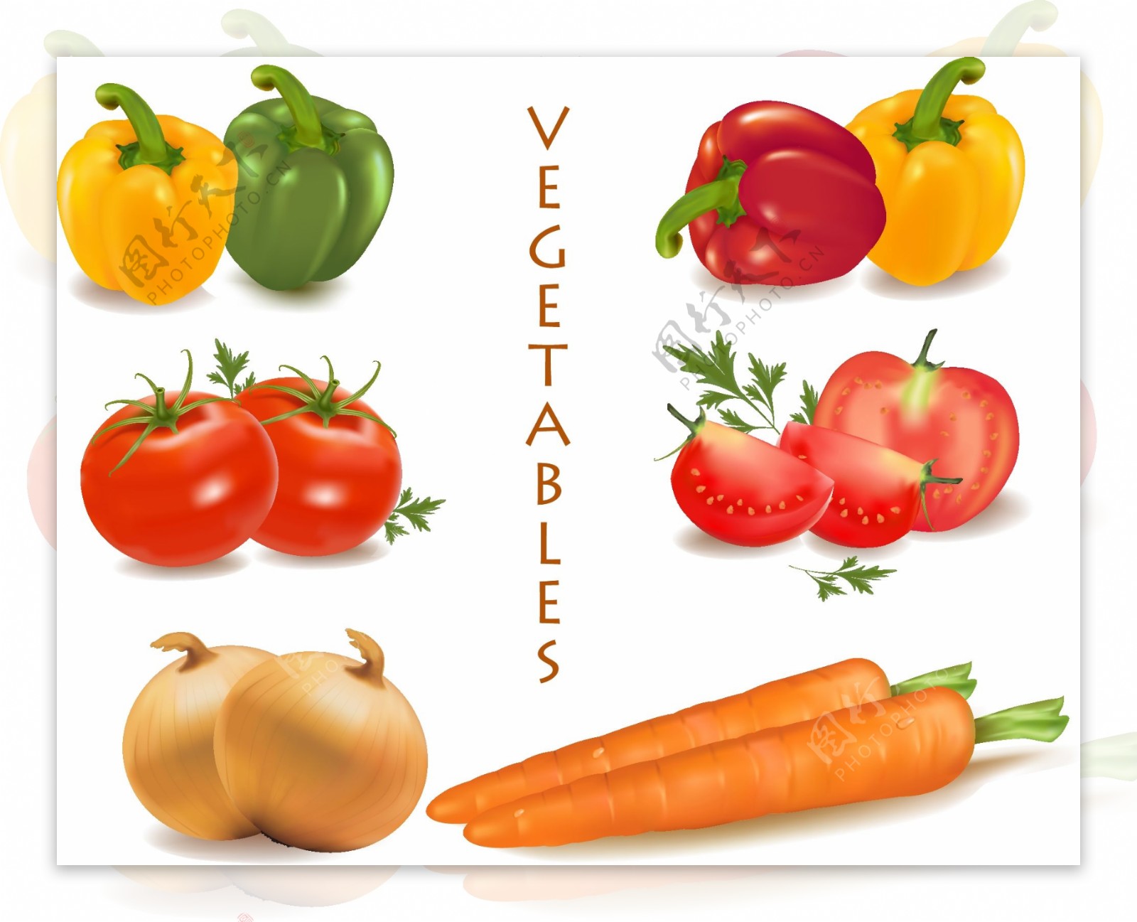 各种蔬菜的载体材料