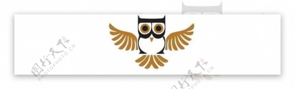 猫头鹰logo图片