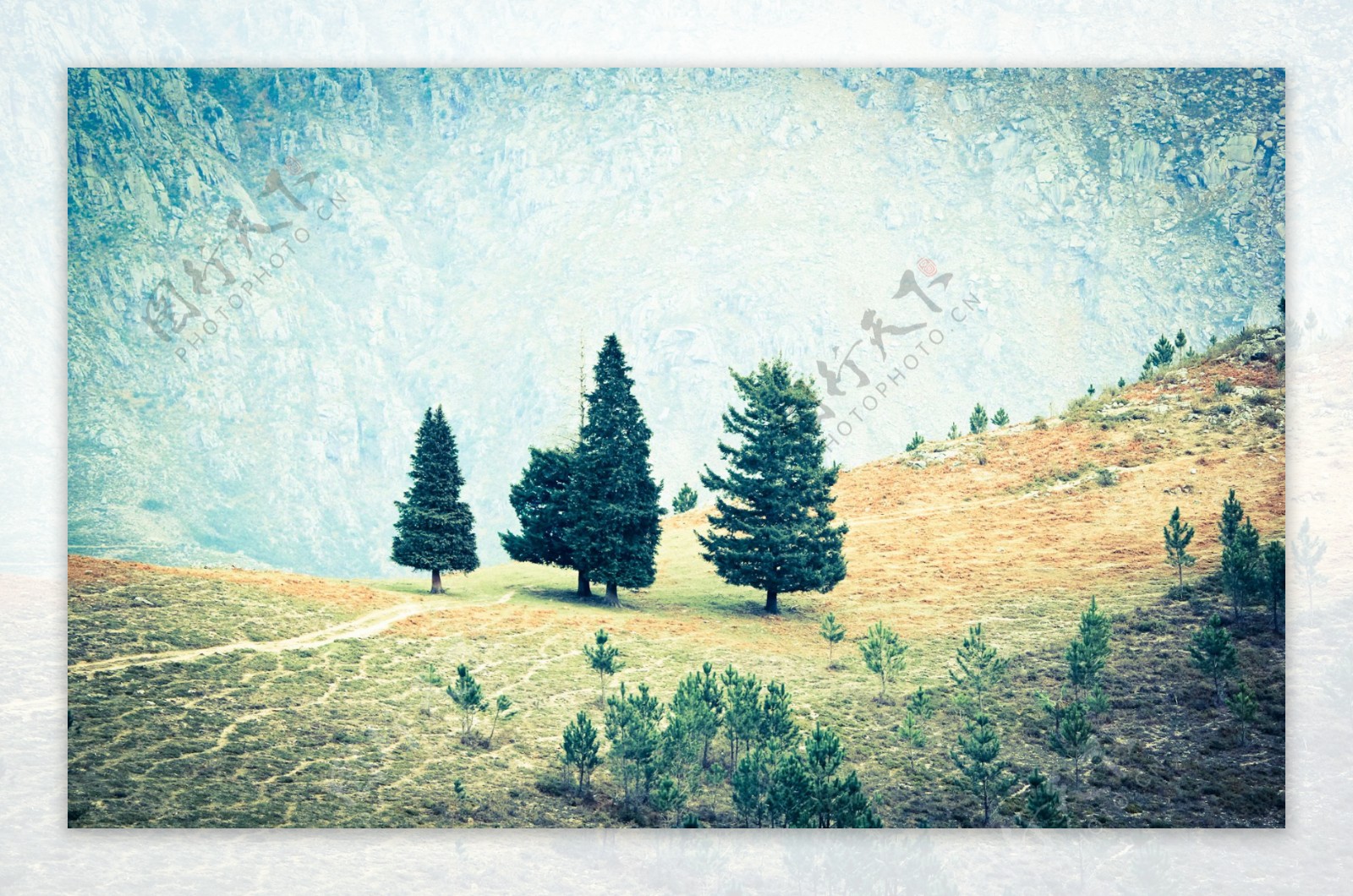 唯美油画感风景树林高清图片壁纸