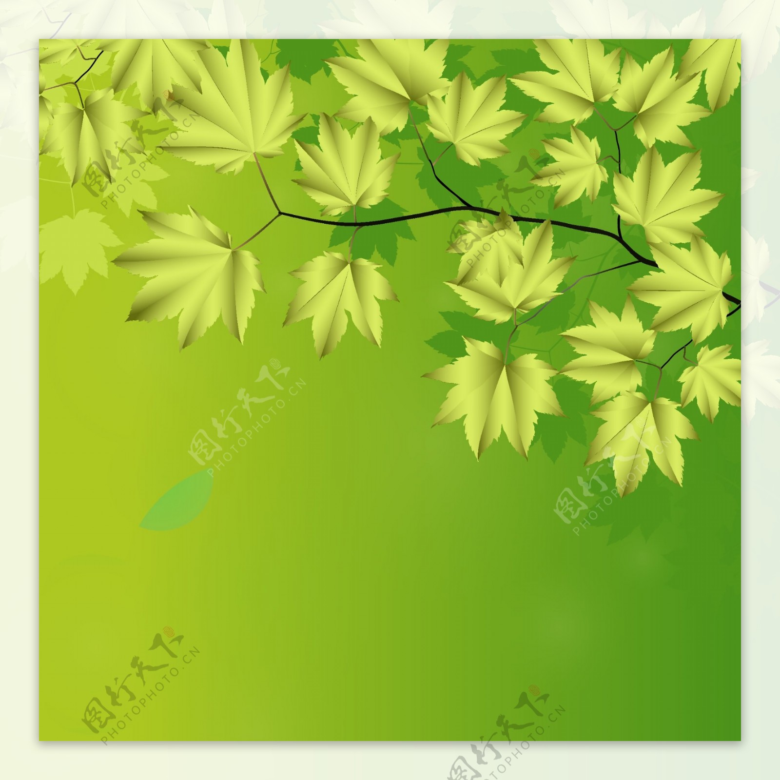 树枝和树叶的绿色背景矢量02