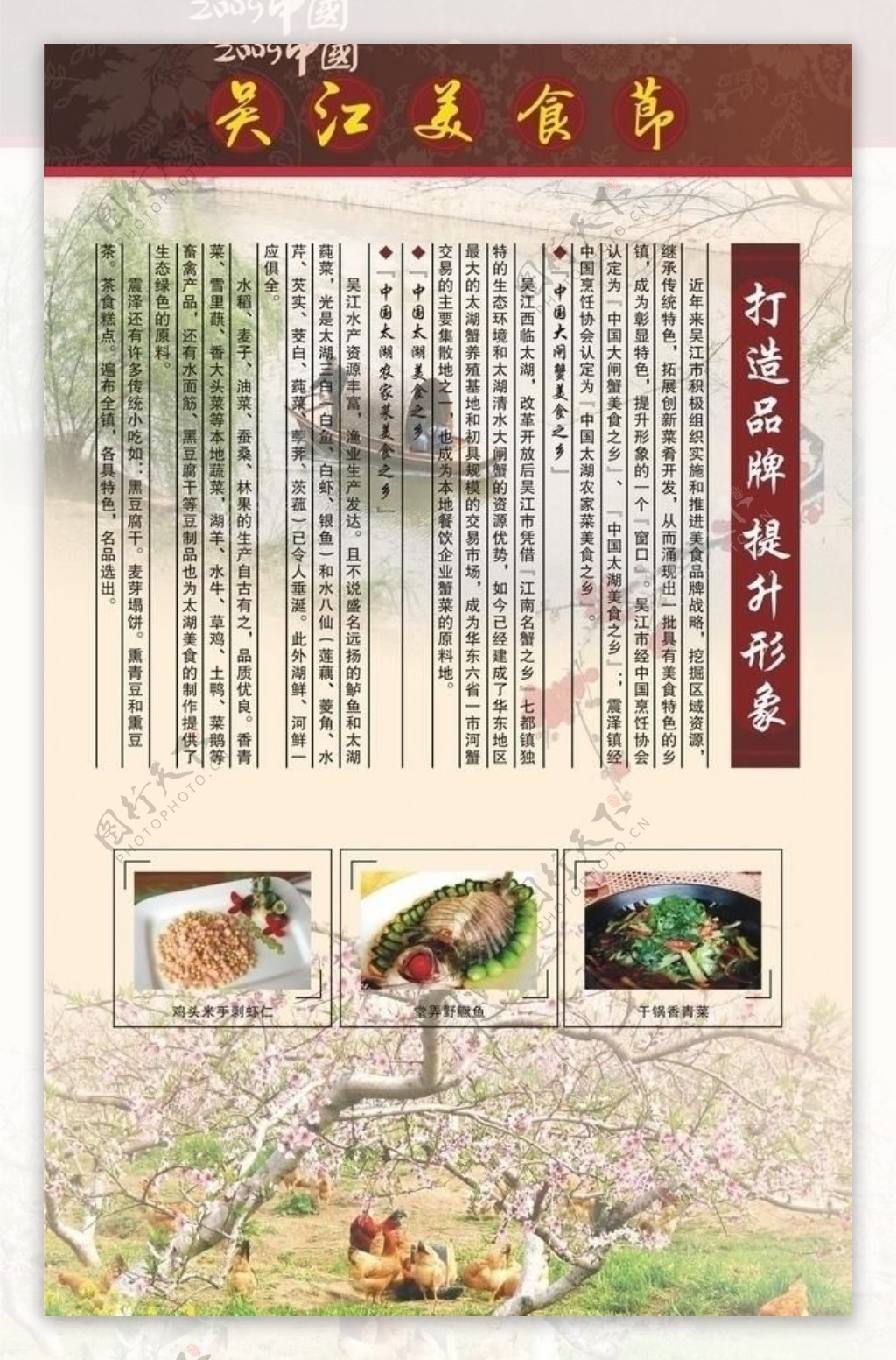 吴江美食节易拉宝图片
