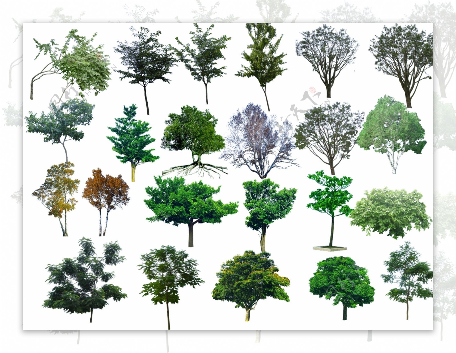 园林绿色树木设计psd分层素材图片