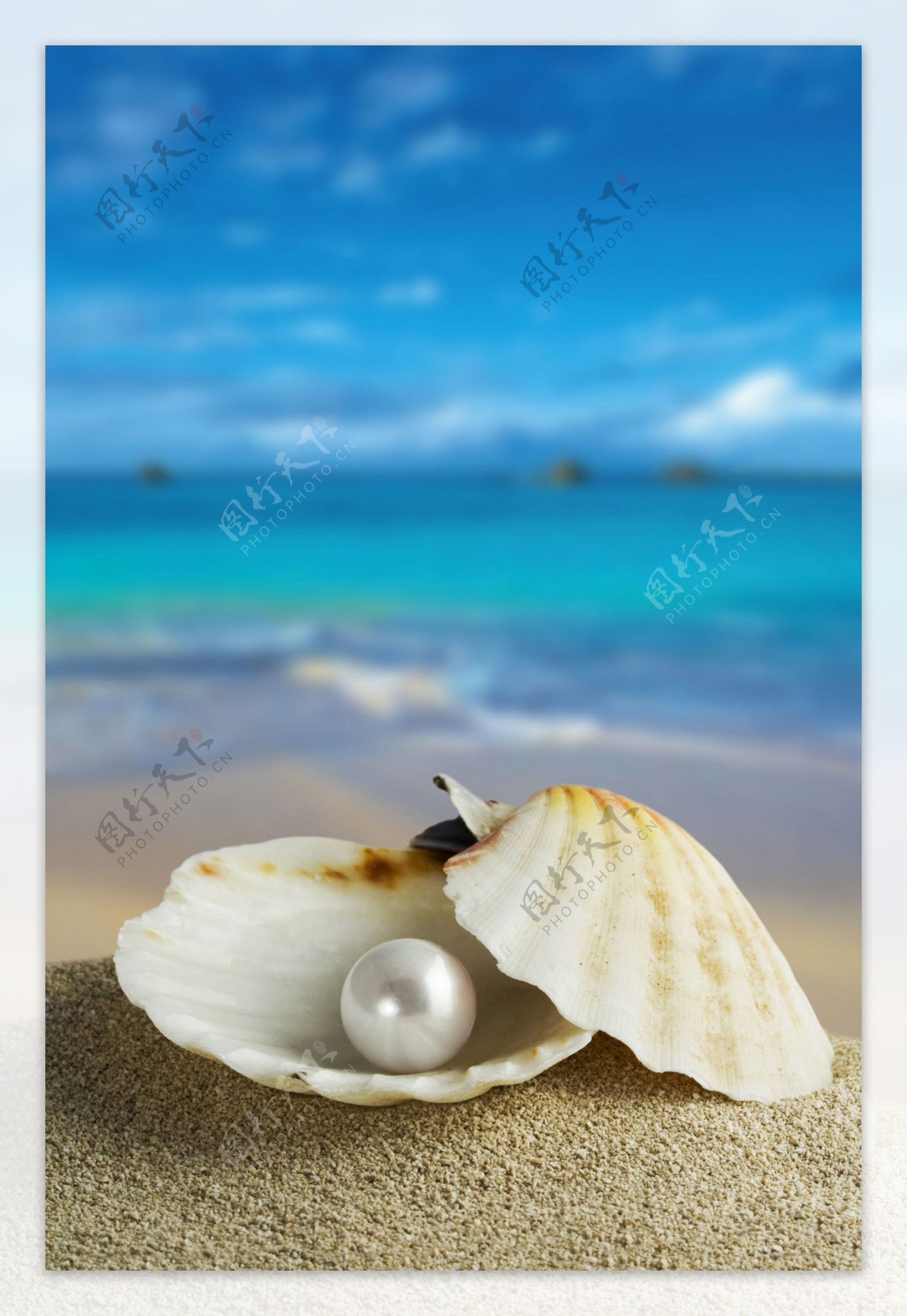 海洋生物珍珠
