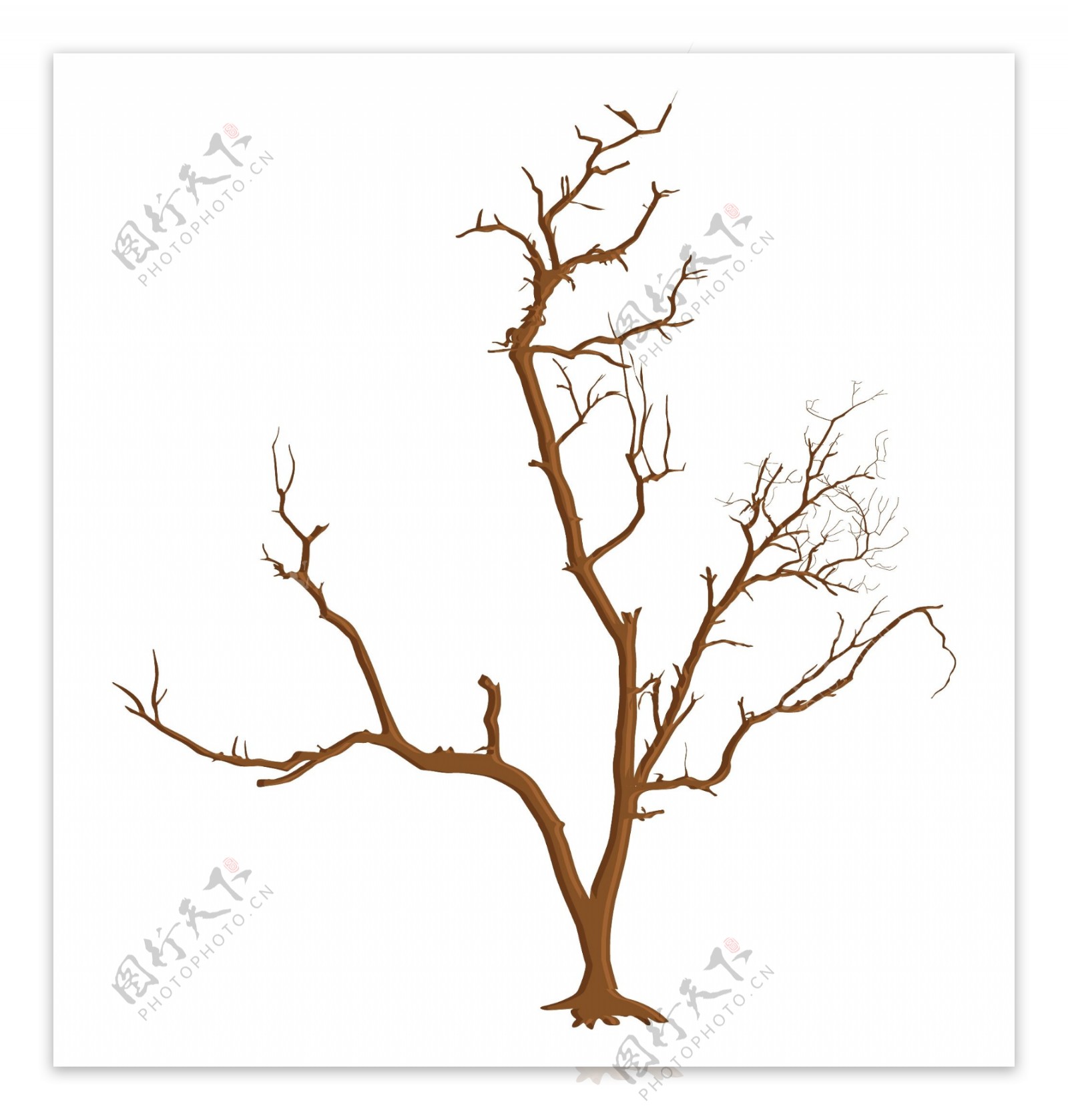 创造性的死树的树枝