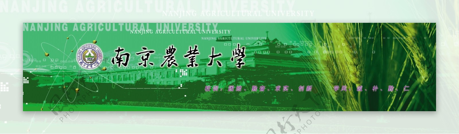 南京农业大学图片