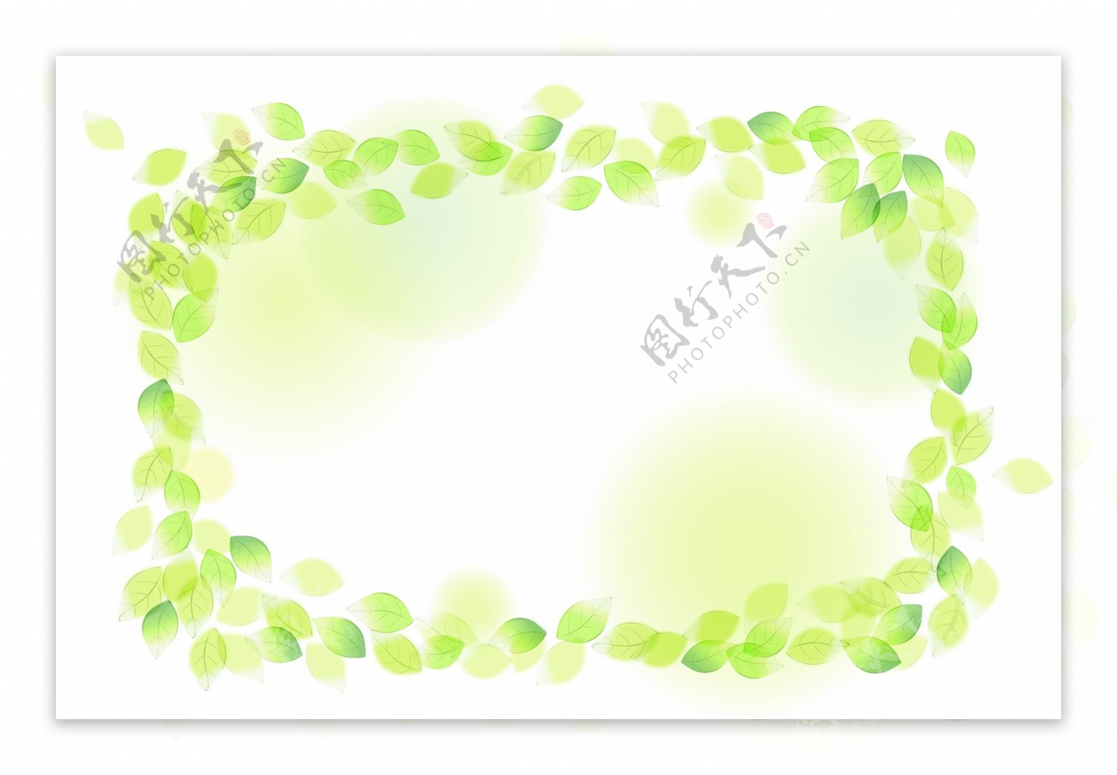 韩式花纹树叶边框