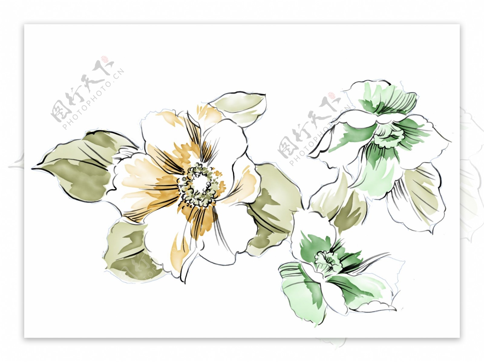 彩色花朵花瓣素描线稿上色插画文件