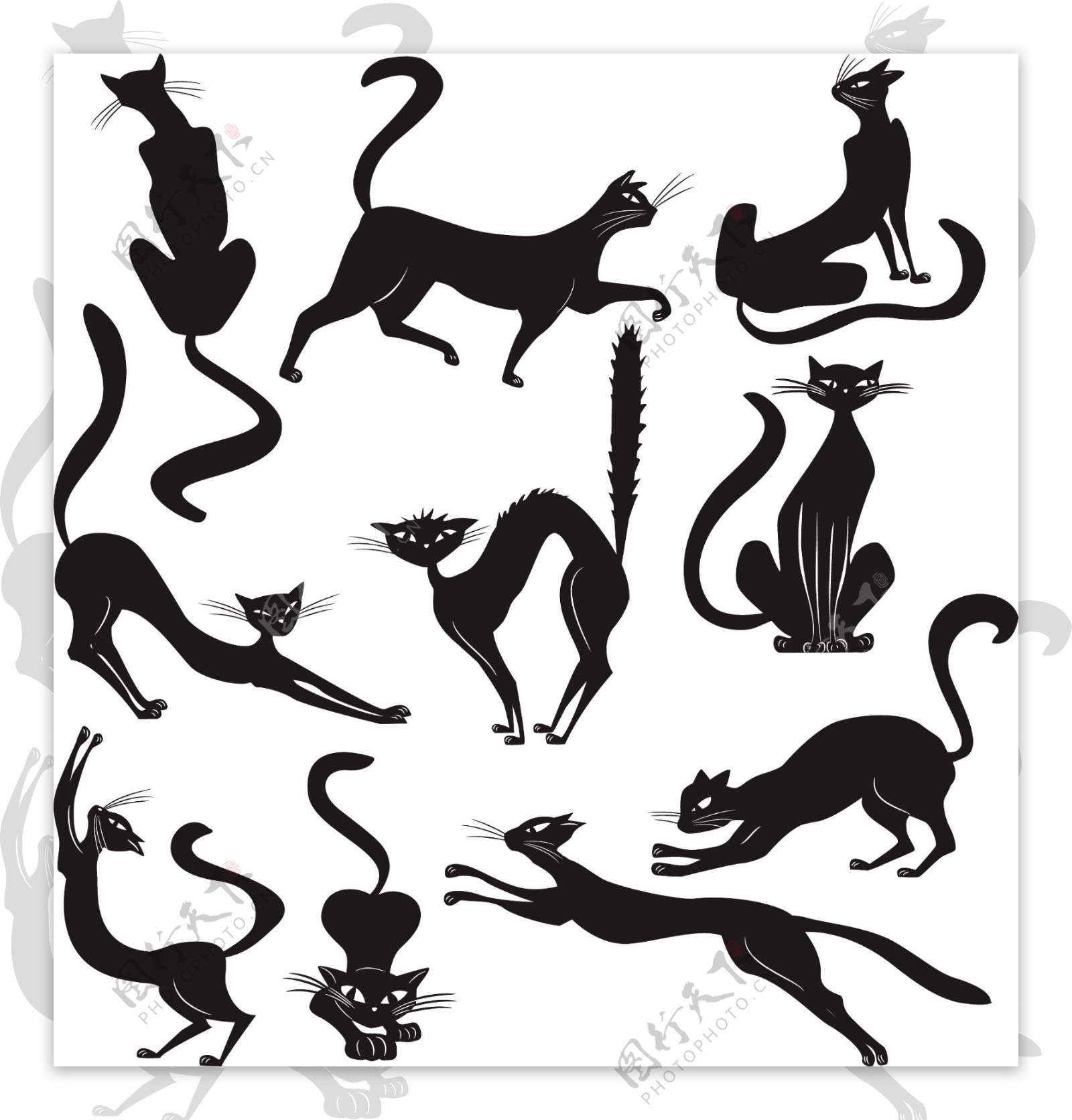 的2011年历矢量素材的黑色的猫黑猫万圣节主题