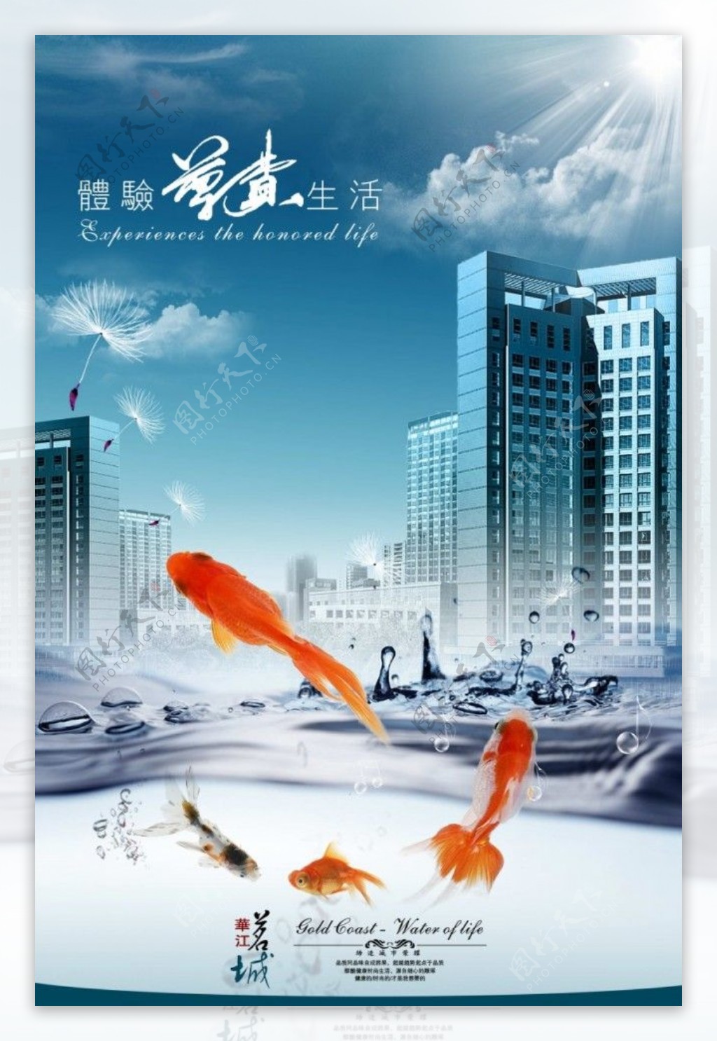 房产海报金鱼版图片