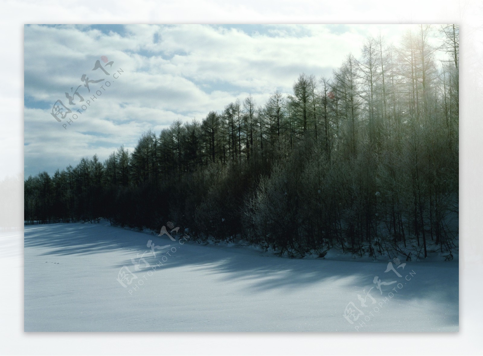 冬日雪景