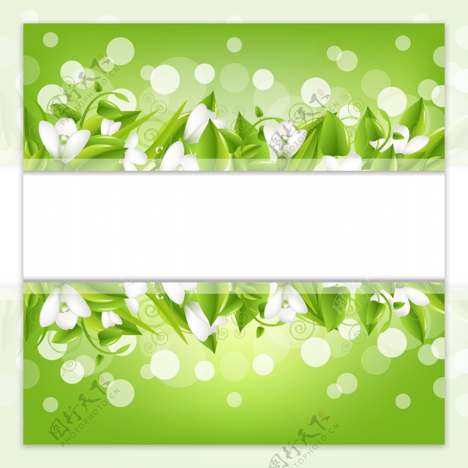 绿色白花