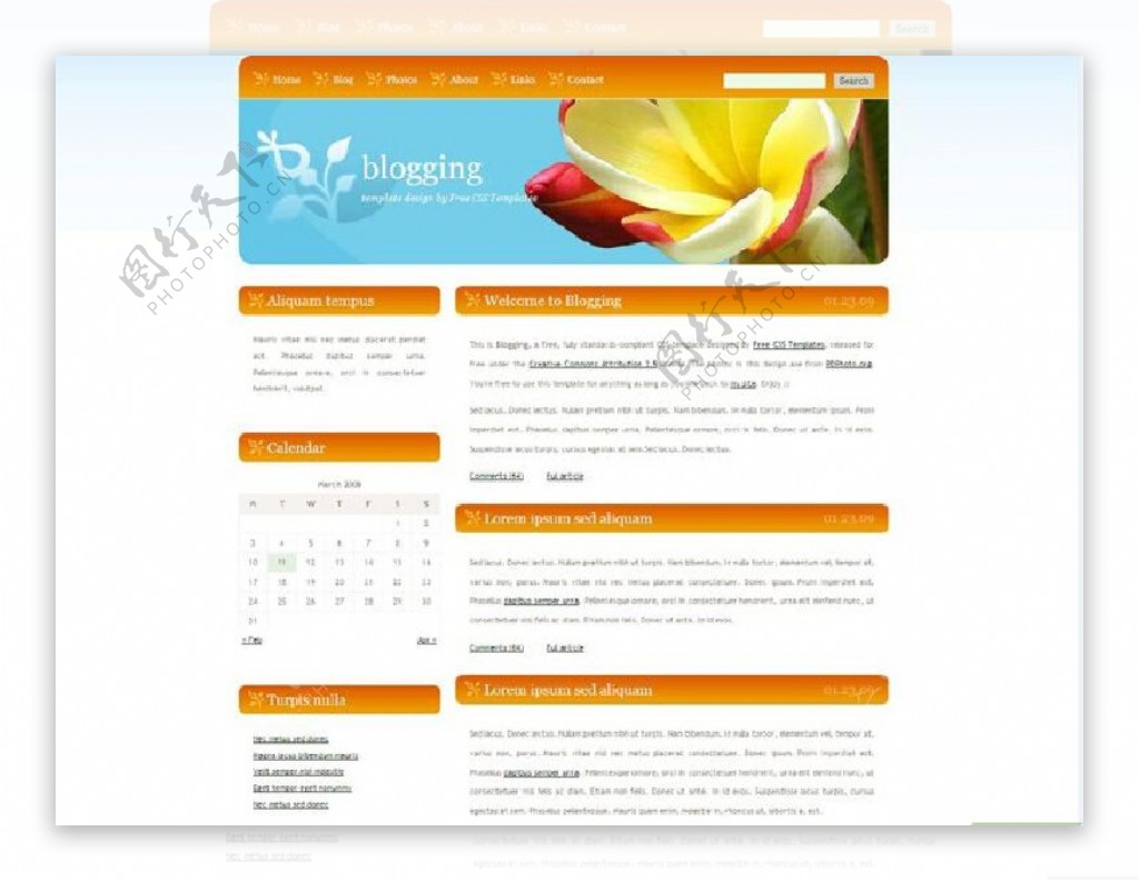 美丽花朵html模板