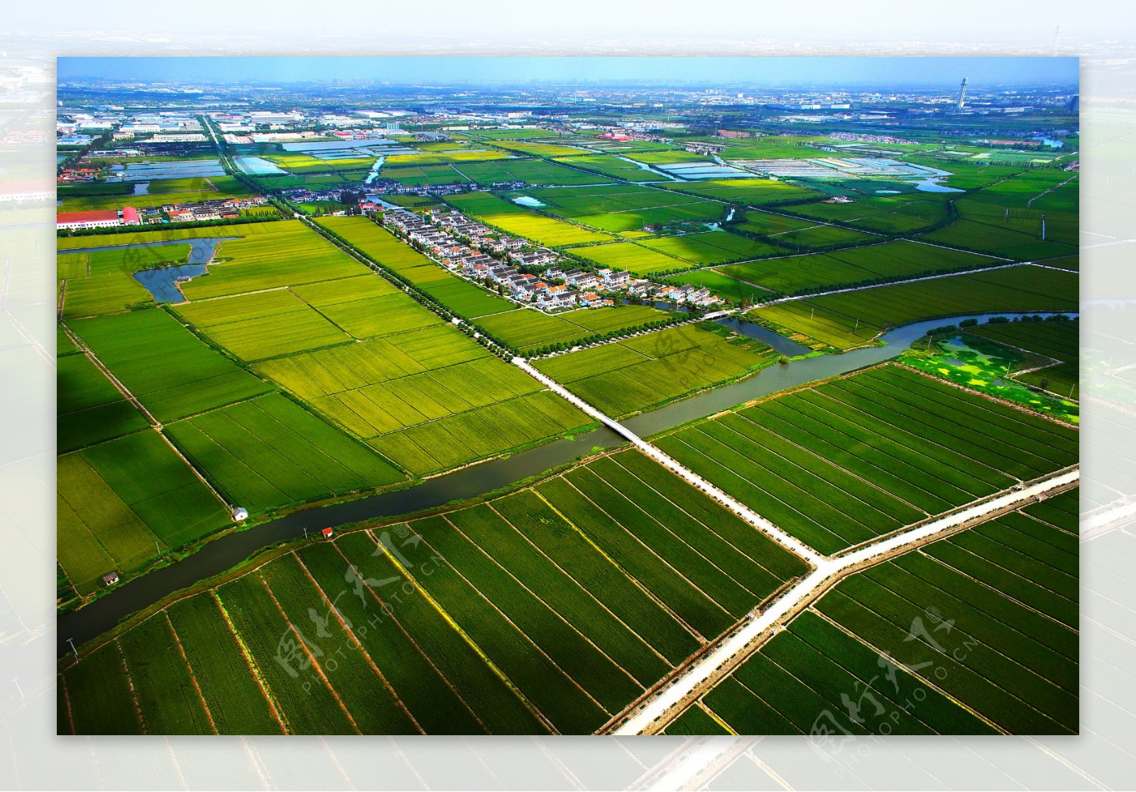 淀山湖田野图片