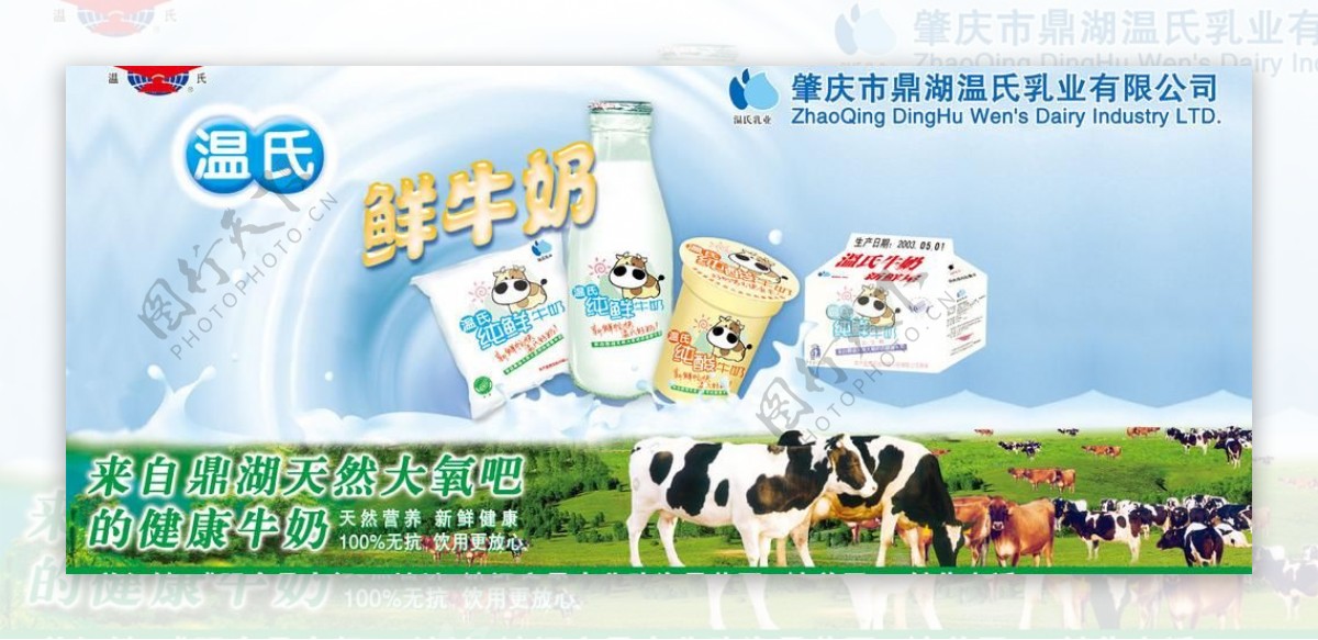 温氏牛奶广告图片