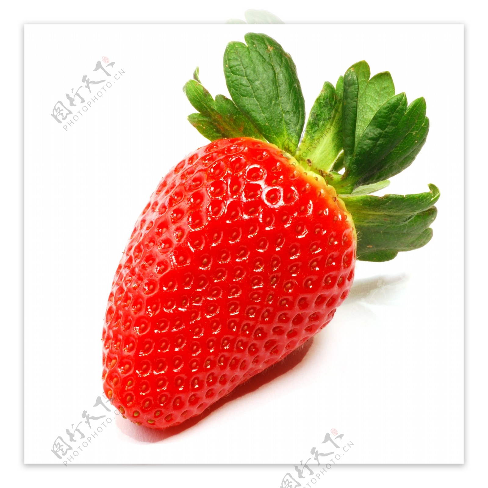 高清草莓png图片素材下载