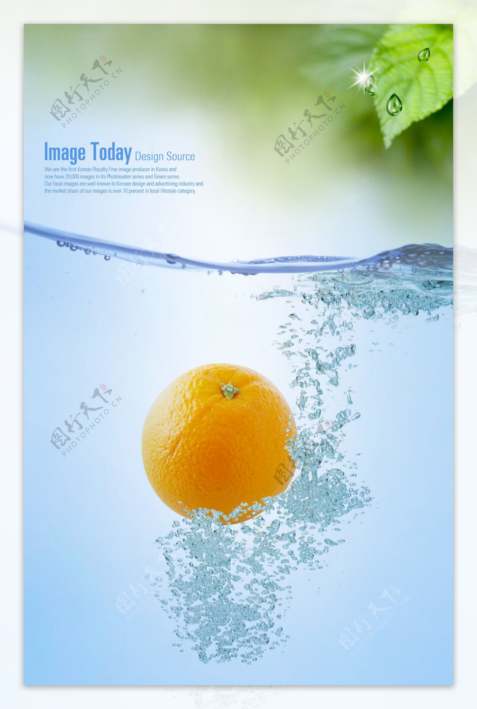 水中的橙子