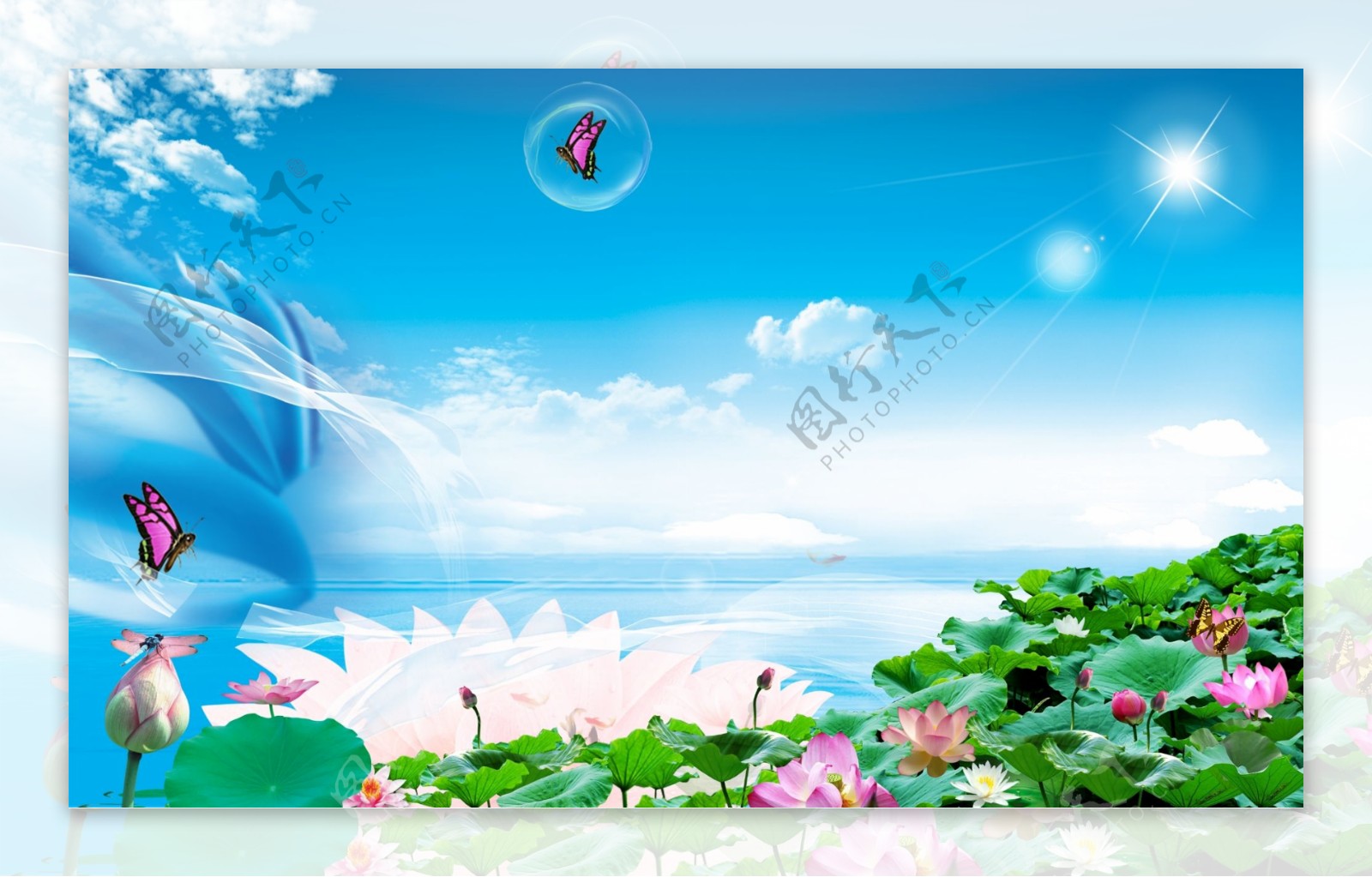 蓝天花朵背景图片