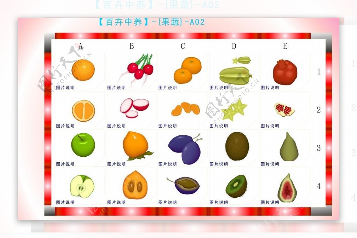 水果蔬菜矢量素材图片