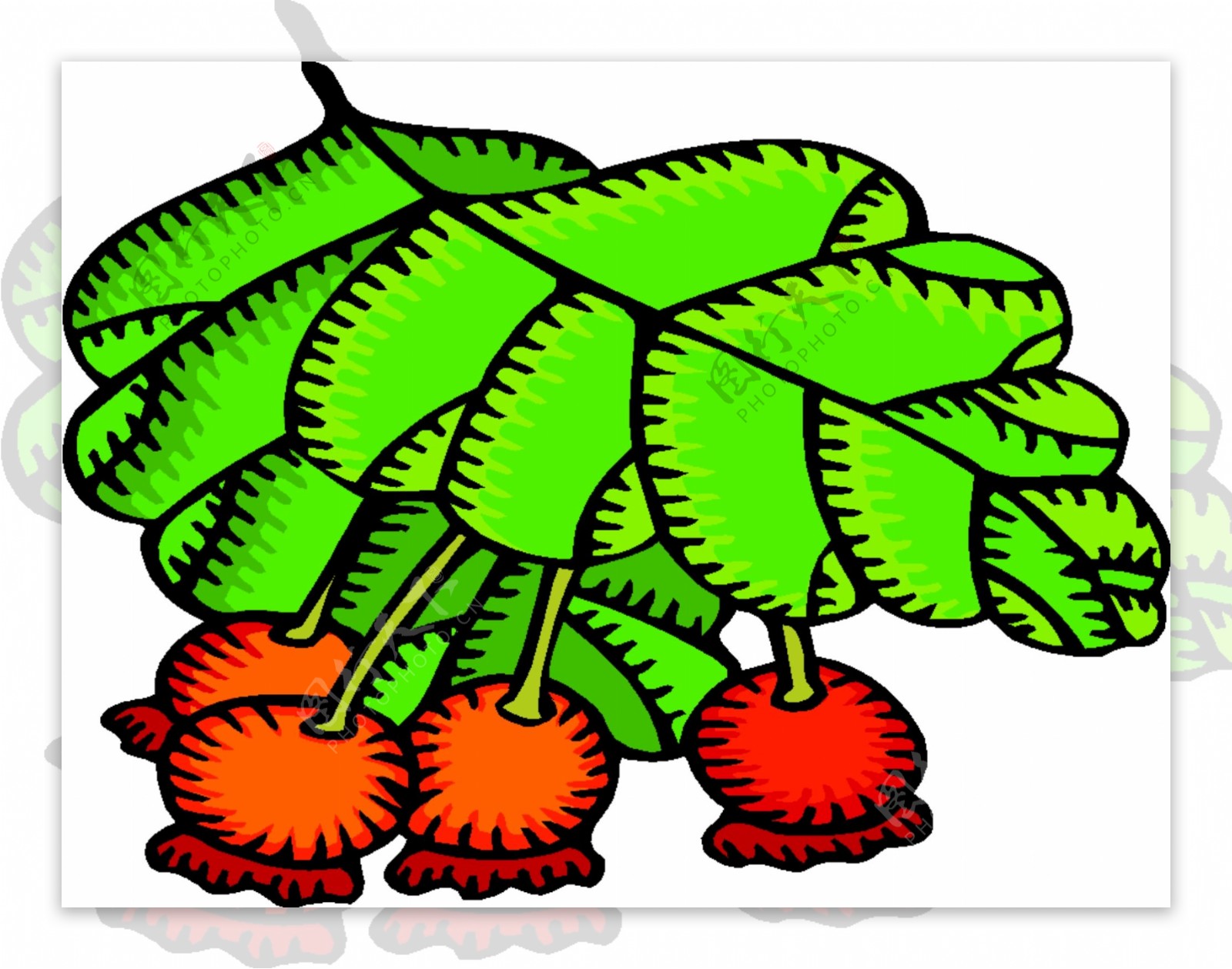 卡通蔬菜水果55