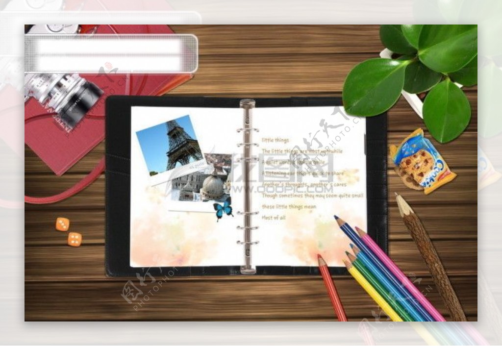 设计元素树叶盆栽绿叶桌面书签画册相机画笔psd分层素材源文件09韩国设计元素
