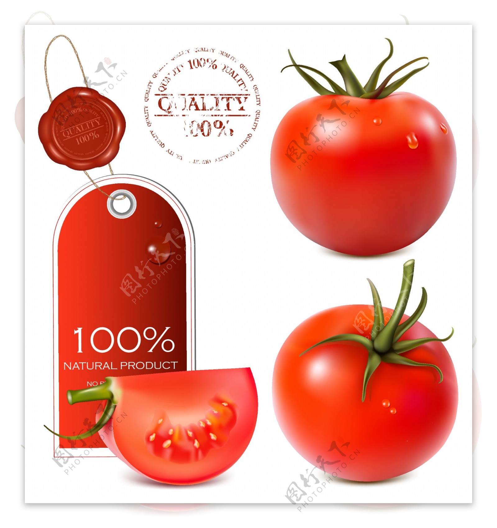西红柿标签图片